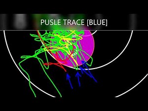 SCATT Training:First Things I've Learned