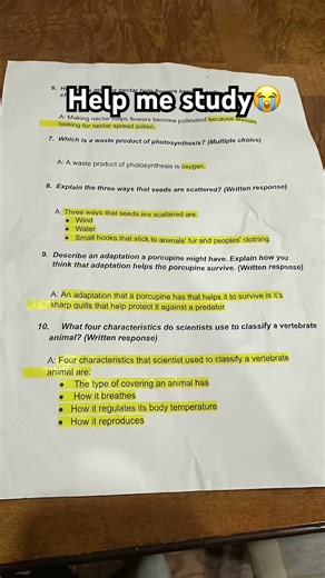 Help me study plsssss