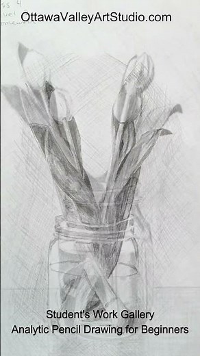 Analytic Pencil Drawing Course for Beginners