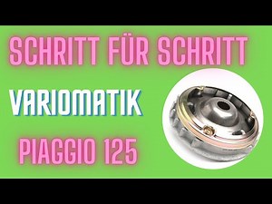 Piaggio 125 Variomatik + Simmerring Schritt für Schritt