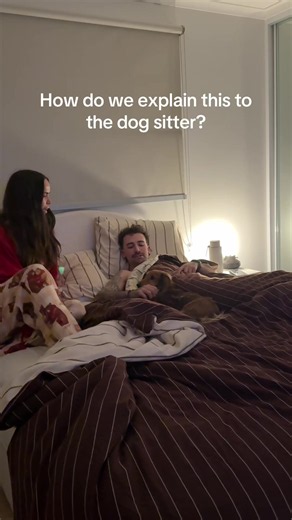 Nighttime Routine Made Easy: Simple Tip to Share with Dog Sitters