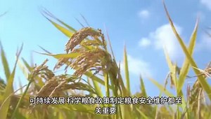 WOFOST模型与PCSE模型实践技术应用