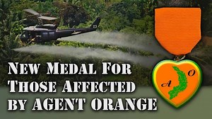 Vietnam Vets to Receive Orange Heart Medal - Details