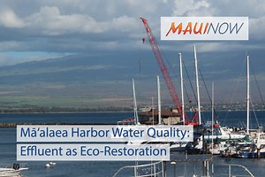 Mā‘alaea Harbor Water Quality: Effluent as Eco-Restoration | Maui Now