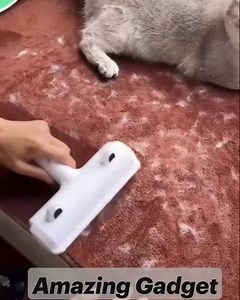 1.7K views · 64 reactions |  Bez napora uklonite dlačice s raznih površina s našim višekratnim valjkom. 理 Neka vaš prostor bude čist i svjež. Kupite sada  https://vigoshop.hr/proizvod/valjak-za-uklanjanje-dlacica-furfix?psh=2i99&pco=1i99&spe=7710i997 | vigoshop | Facebook