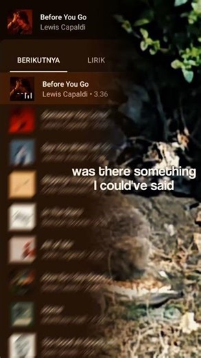 Lewis Capaldi- Before U Go