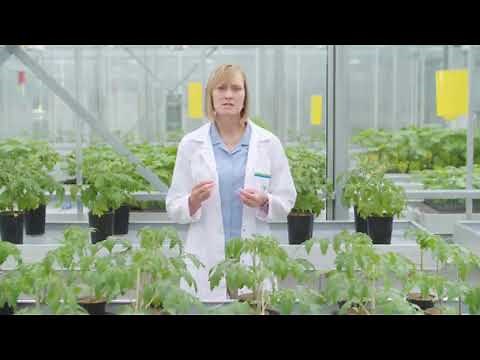 Serenade Biological Fungicide: Powered by Nature, Empowered by Science