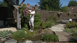 Anthony Maquestiau, un jeune jardinier passionné - RTBF Actus