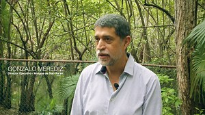 4.7K reactions · 443 shares | Quintana Roo es un paraíso, sin embargo su relación con el agua tiene una historia que pocos conocen. ¿Qué está pasando realmente con su infraestructura, sus comunidades e instituciones como la Comisión de Alcantarillado y Agua Potable?  Mira este reportaje y conoce todas las afectaciones que viven los quintanarroenses. | El Reporte de Hoy | Facebook