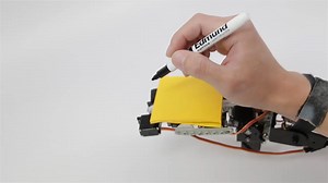 Body Integrated Programmable Joints Interface