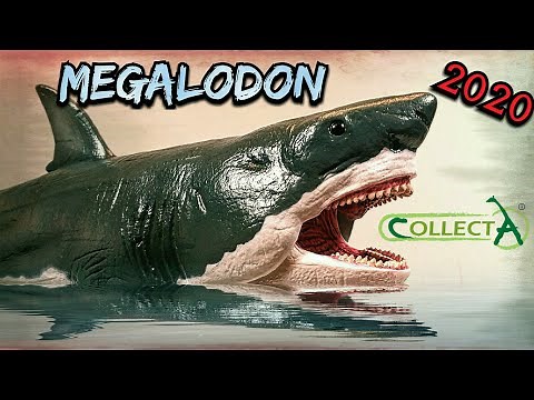 2020 Collecta Megalodon Review!!!