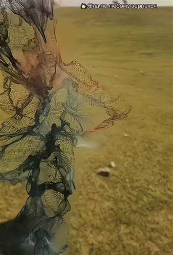 #dreamina #dreaminapioneer #capcutpioneer disappearing trend capcut slow disappear disappear template capcut disappear effect edit tutorial disappear effect tutorial disappearing trend tutorial capcut slow motion disappearance video tutorial how to make slow motion disappearance effect video particle slow motion disappearance effect video tutorial how to make capcut disappeared video slow motion video template how to make into stardust effect video into stardust effect video tutorial into stardu