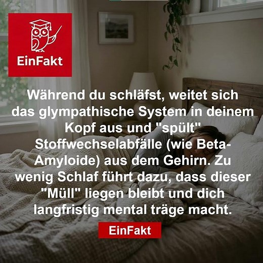 Müll im Gehirn? 🧠🗑️ | Warum Schlafmangel dich dumm macht | EinFakt