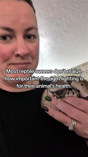 Enhance Your Reptile's Habitat with Hygger T5 UVB Lamp