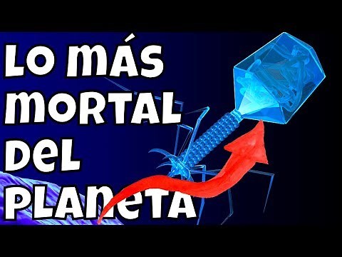 Sabias que los fagos si existen y ademas son...