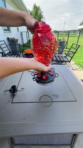 This solar hummingbird feeder with camera takes bird watching to a whole new level