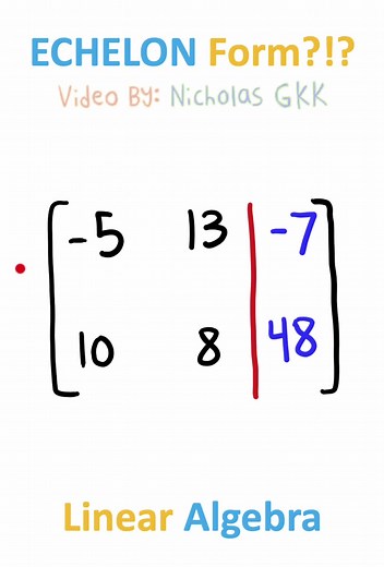 Can You Get This MATRIX Into Echelon Form?!? #Linear #Algebra #Math #Study #NicholasGKK