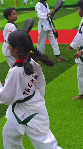 taekwondo pad kics workout for beginers