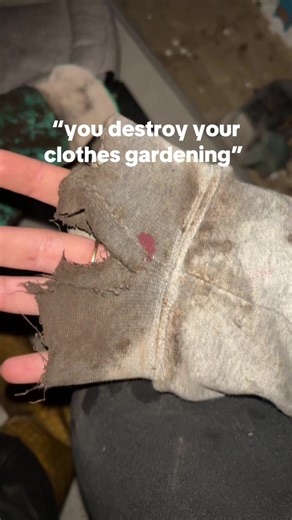 Effective Ways to Eliminate Buttercups in Your Garden