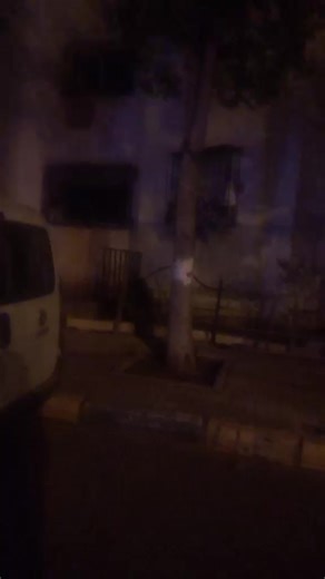 Vidéos de سيمو (@simo_blida) avec son original - Bilal mesbah 48🇲🇦