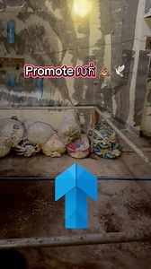 4K views · 91 reactions |  ដើម្បីជីវភាព ‍↕️ ប្រមូលលក់ឲ្យខ្ទេច 凉 | Le Premium Bird’s Nest | Facebook