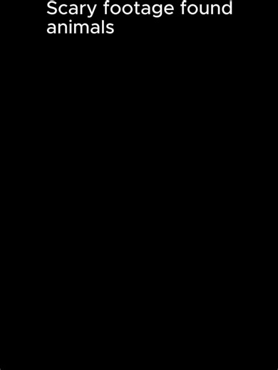 Scariest Animals Caught on Camera 😱 From eerie eyes glowing in the dark to creepy sounds in the night—these horror animals feel like they came straight out of a nightmare. 🐍🦉 Whether it’s strange encounters or chilling wildlife, this will give you goosebumps. #HorrorAnimals #CreepyAnimals #ScaryEncounters #HauntedWildlife #AnimalHorror #TerrifyingCreatures #DarkNature #CreepyMoments #ScaryAnimals#HorrorShort