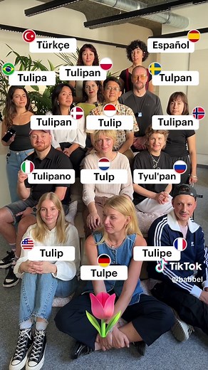 What language connections exist across Babbel's 14 languages? 🇺🇸 🇮🇩 🇩🇪 🇫🇷🇧🇷 🇪🇸 🇮🇹 🇩🇰 🇵🇱 🇷🇺 🇹🇷 🇳🇴 🇳🇱 🇸🇪 #Languages #LanguageLearning #VocabularyComparison #BabbelApp #BabbelLanguages