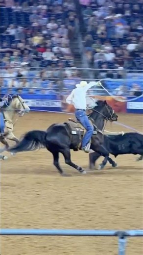 Houston Rodeo 2026 - Team Roping Part 2 (March 11th 2026)