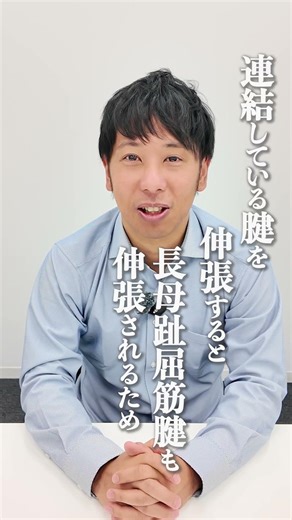 長母趾屈筋と長趾屈筋の腱連結について
