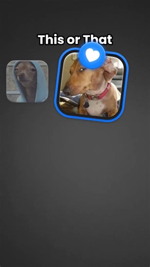 no auto clicker trust