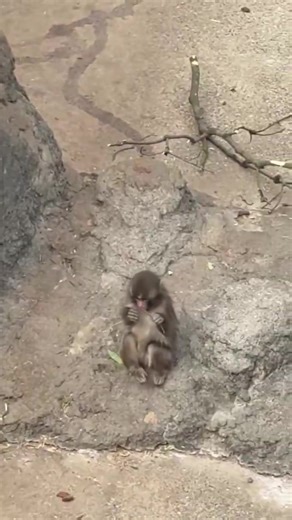 Adorable Baby Punch Compilation