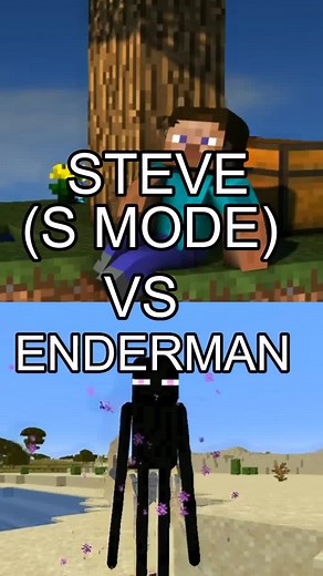 STEVE VS ENDERMAN