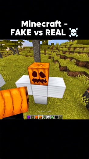 Minecraft FAKE vs REAL... 😱☠️