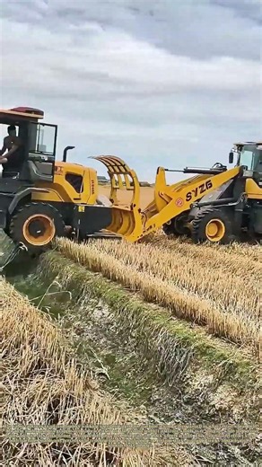 Pulling Together Over Gaps: How Two Loaders Help Each Other Cross A Trench