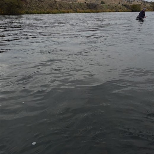 Littleleaf Guides on Reels