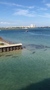 23K views · 1.1K reactions | Look close at the clear, green water - those are manatees swimming near Manatee Lagoon featuring Mia the Manatee. This weekend is Manatee Fest 2018, with family activities, displays, free parking and admission. Feb 3-4 10a-3p. | Discover The Palm Beaches | Facebook