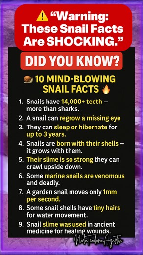32K views · 124 reactions | Who knew snails were THIS powerful? ...