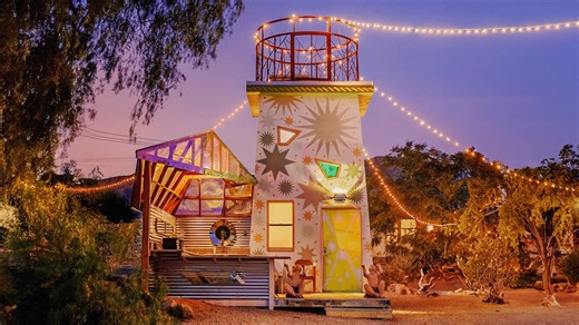 Meet my rescued friends in the desert