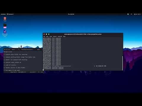 insightface tutorial