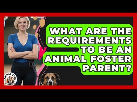 What Are The Requirements To Be An Animal Foster Parent? - Animal Care Jobs