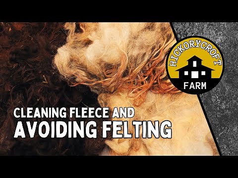 Stop Felting Your WOOL! How To Wash Raw Sheep WOOL Better Washing Method