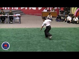 Southern Shaolin Kung Fu - Panther