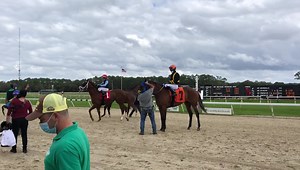 WELCOME TO THE CLUB: Journeyman Jockey Richard Mitchell wins at Tampa Bay Downs for the first time in the third race aboard Auburn. The 5-year-old Florida-bred mare is owned by Hanif Darby and trained by Pernel Bagwandeen. | Tampa Bay Downs, Inc.