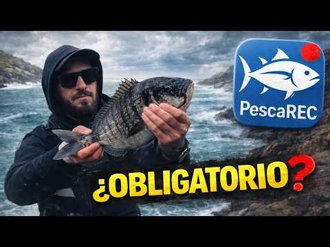 PescaREC: Do you have to declare sea bream or not? (Clearly explained)