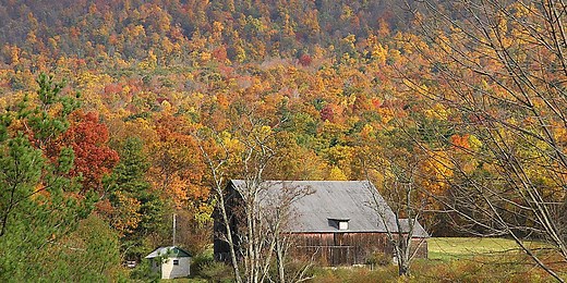 Here’s where fall foliage will peak first in 2025