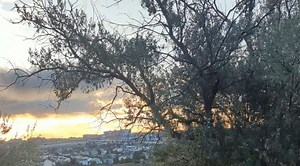 Joshua 12: Remembering the Victories