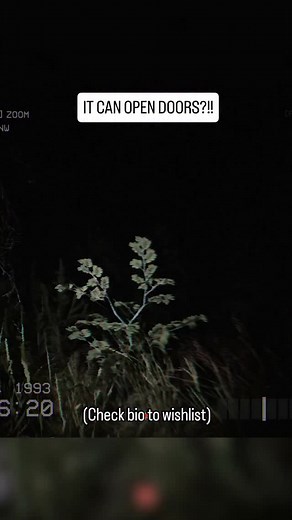 77K views · 831 reactions | we're having so much fun playtesting our new co-op horror game DON'T SCREAM TOGETHER! it's so fun with friends lol #gaming #horrorgame | Digital Cybercherries | Facebook