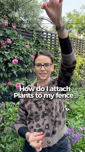 Add plants to your fence #garden#gardening#gardeningtips #shorts