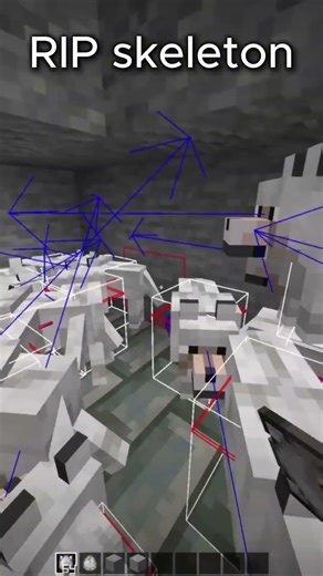 RIP skeleton #minecraft #lifstealsmp #marlow #mcpvp #gaming #hypixel #pvp #memes #bedwars