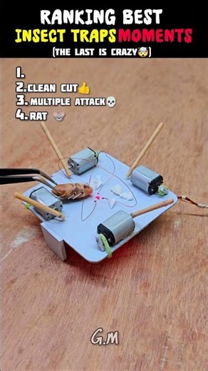 Ranking Best Insect Traps Moments 💀🔥